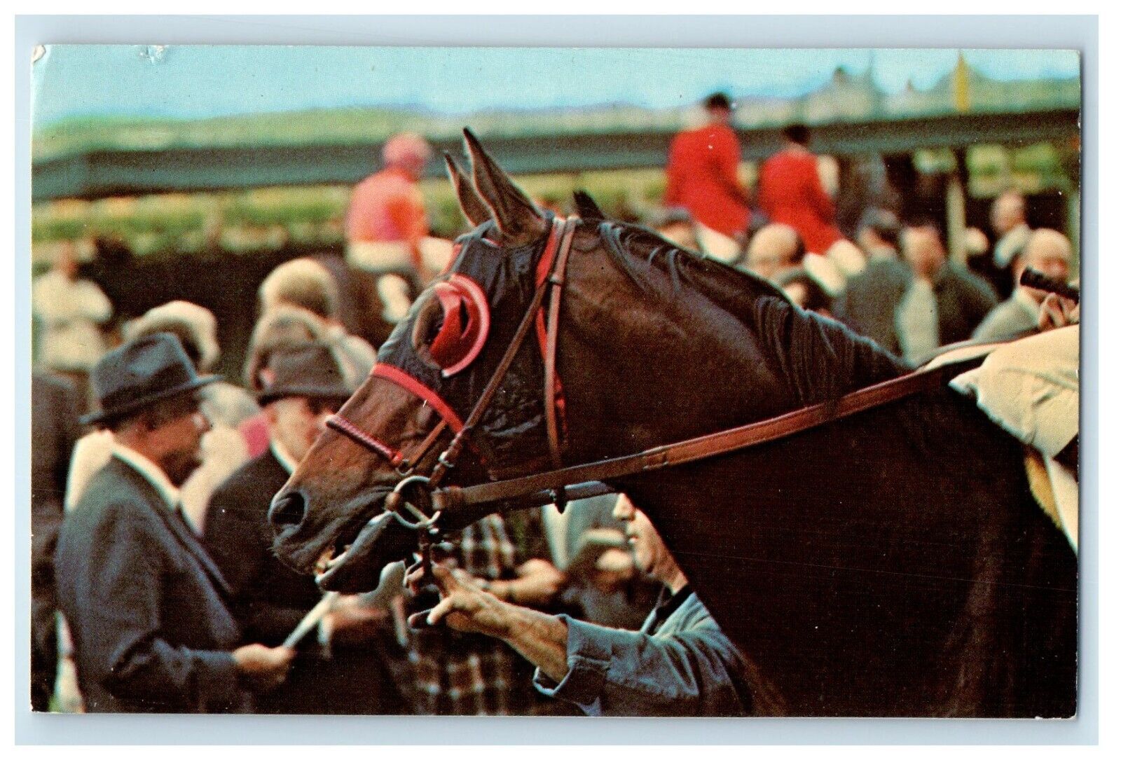 c1960's Aqueduct Belmont Park Buckpasser Horse Racing Saratoga NY Postcard