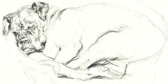 Boxer in a Basket - CUSTOM MATTED - Vintage Dog Art Print - Poortvliet 0810