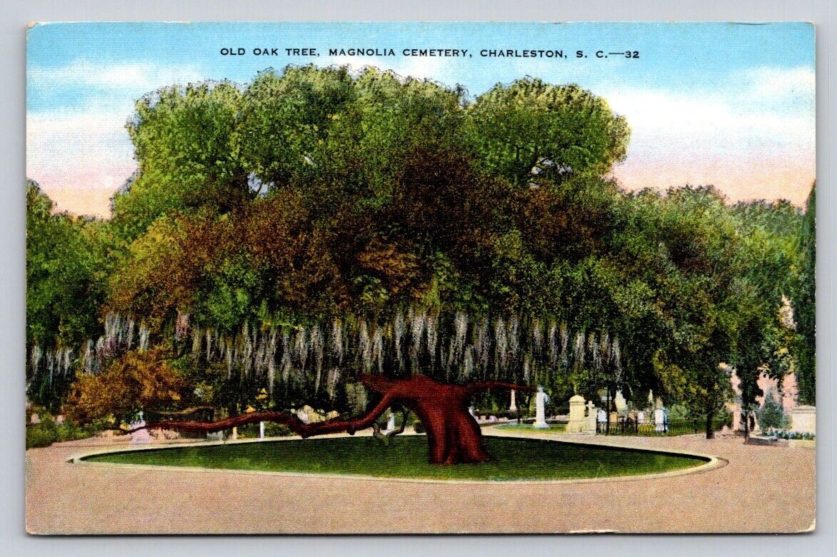Linen Old Oak Tree Magnolia Cemetery Charleston South Carolina P640