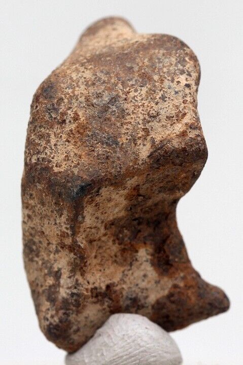 NWA 859 TAZA Iron Meteorite Specimen Space Rock Natural Patina NORTHWEST AFRICA