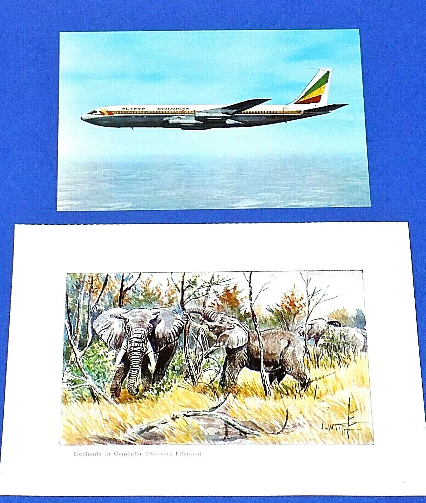Ethiopian Airlines Menu Postcard & Boeing 707 Intercontinental Fan Jet Postcard