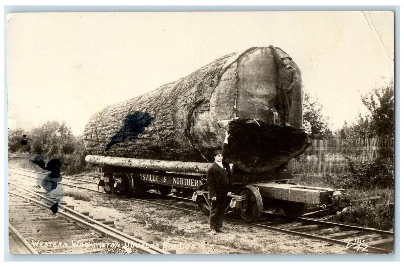 1947 Western Washington Douglas Big Log Bellingham WA RPPC Photo Posted Postcard