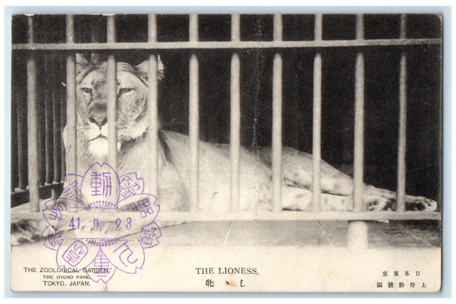 1925 The Zoological Garden The Uyeno Park Tokyo Japan Vintage Postcard