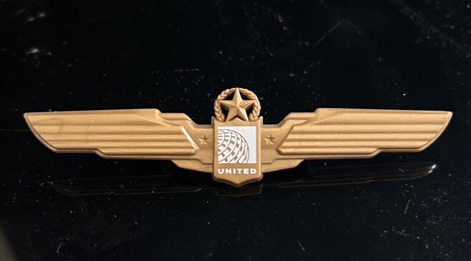 United Airlines Wings Plastic Pin (Aviation Souvenir)