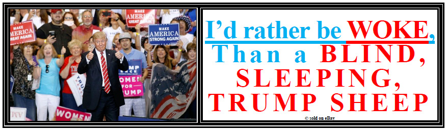 anti Trump: I'D RATHER BE WOKE, THAN SHEEP humorous political bumper sticker