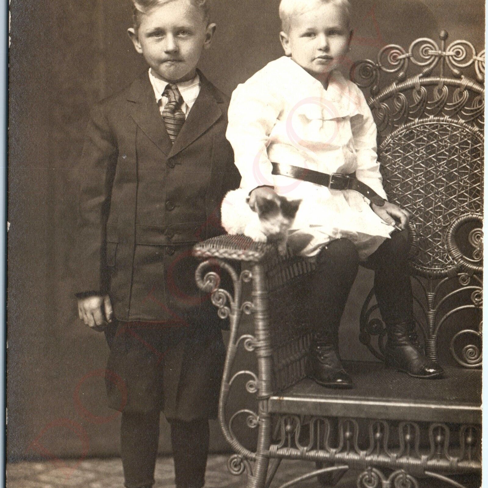 c1910s Lima, OH Cute Kitten RPPC w/ Handsome Young Boys Real Photo Postcard A86
