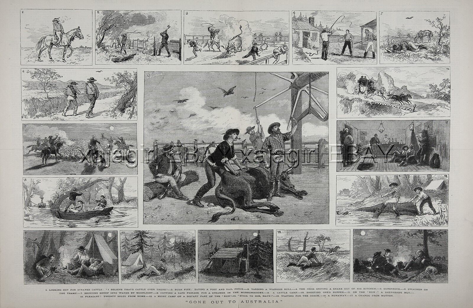 AUSTRALIA 17 Views of Pioneer Life, Cowboys, Huge 2X-Folio 1880s Antique Print