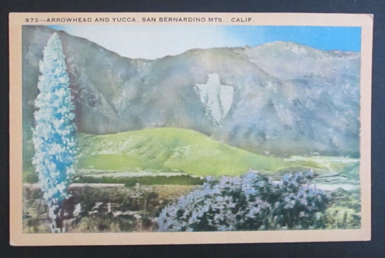 Arrowhead & Yucca San Bernadino Mountains CA Unposted Linen Postcard