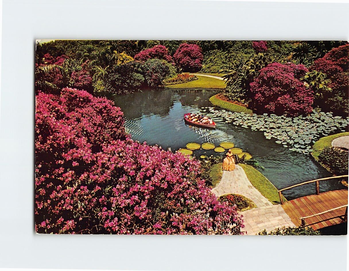 Postcard Azaleas Cypress Gardens Florida USA