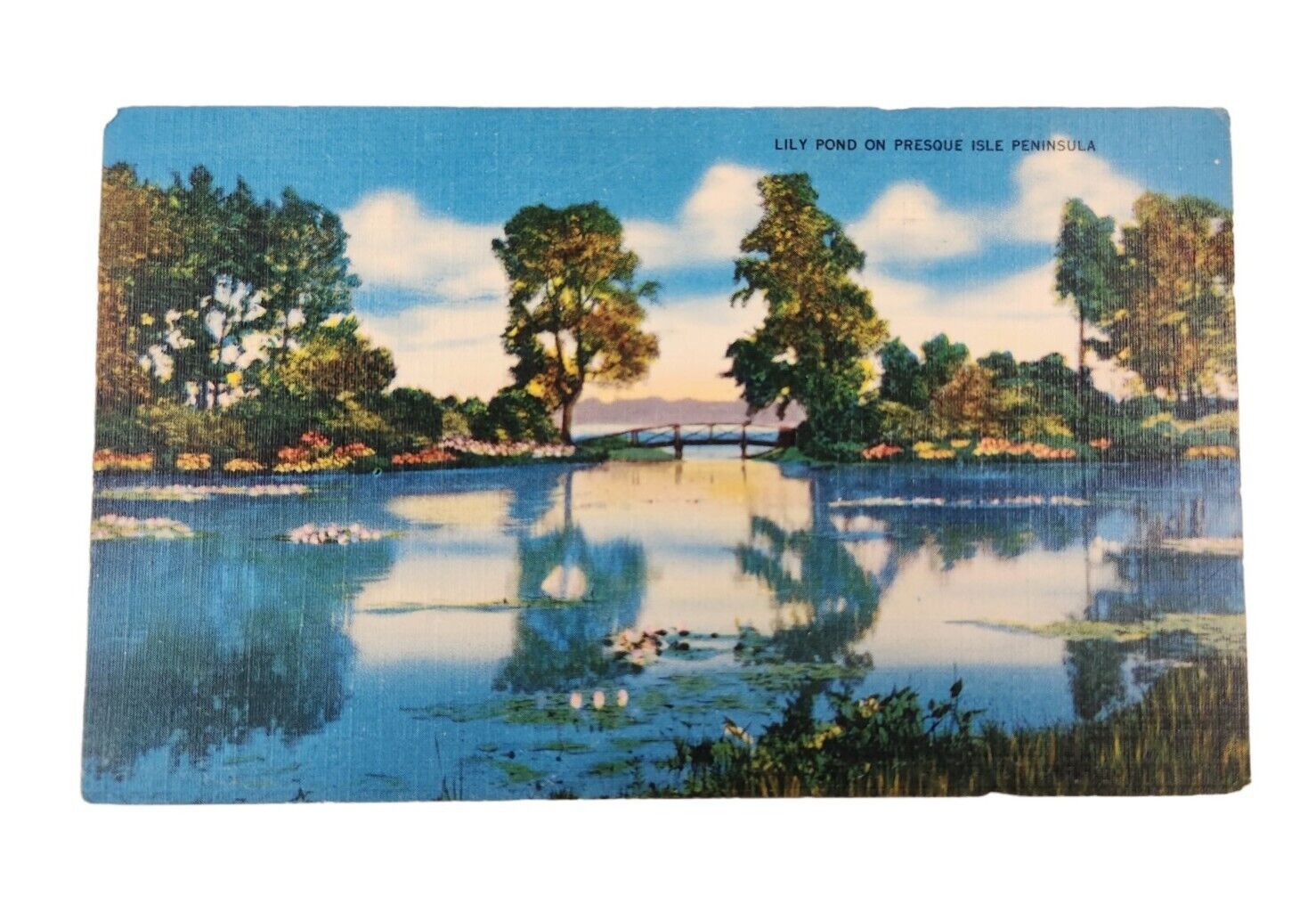POSTCARD Lily Pond on Presque Isle, Pennsylvania PA Linen 1950s Scenic