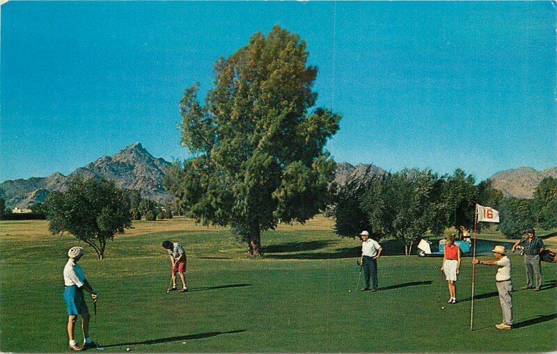 Arizona Biltmore roadside Phoenix Arizona Freeman Postcard Golf Course 20-8097