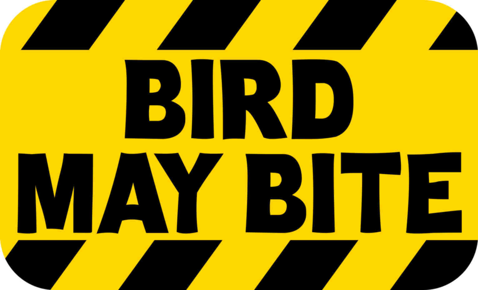 5in×3in Yellow and Black Striped Bird May Bite Magnet Vinyl Sign Magnetic Decal