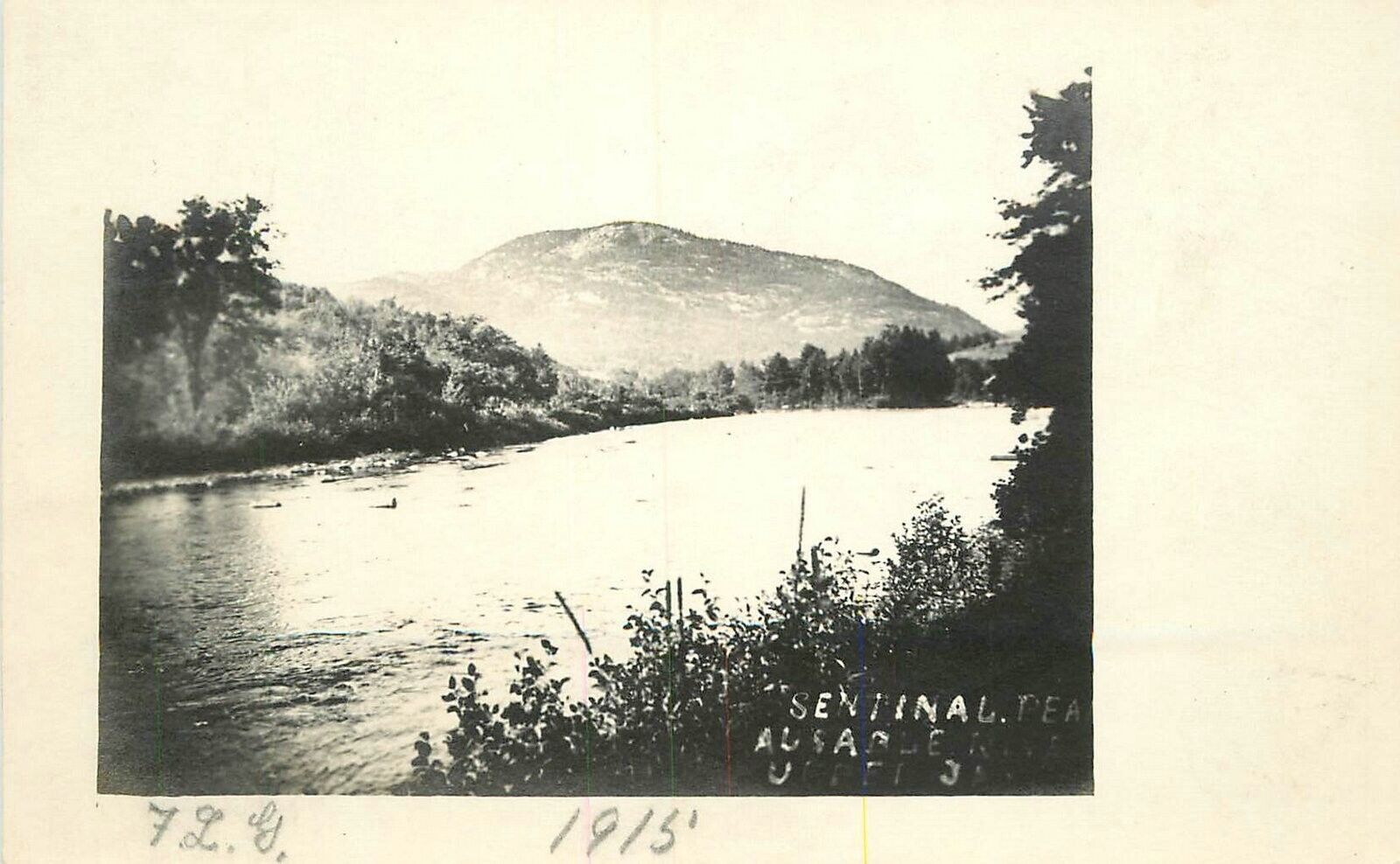 Postcard RPPC C-1910 New York Hamer Ausable River Sentinal Peak 23-3972