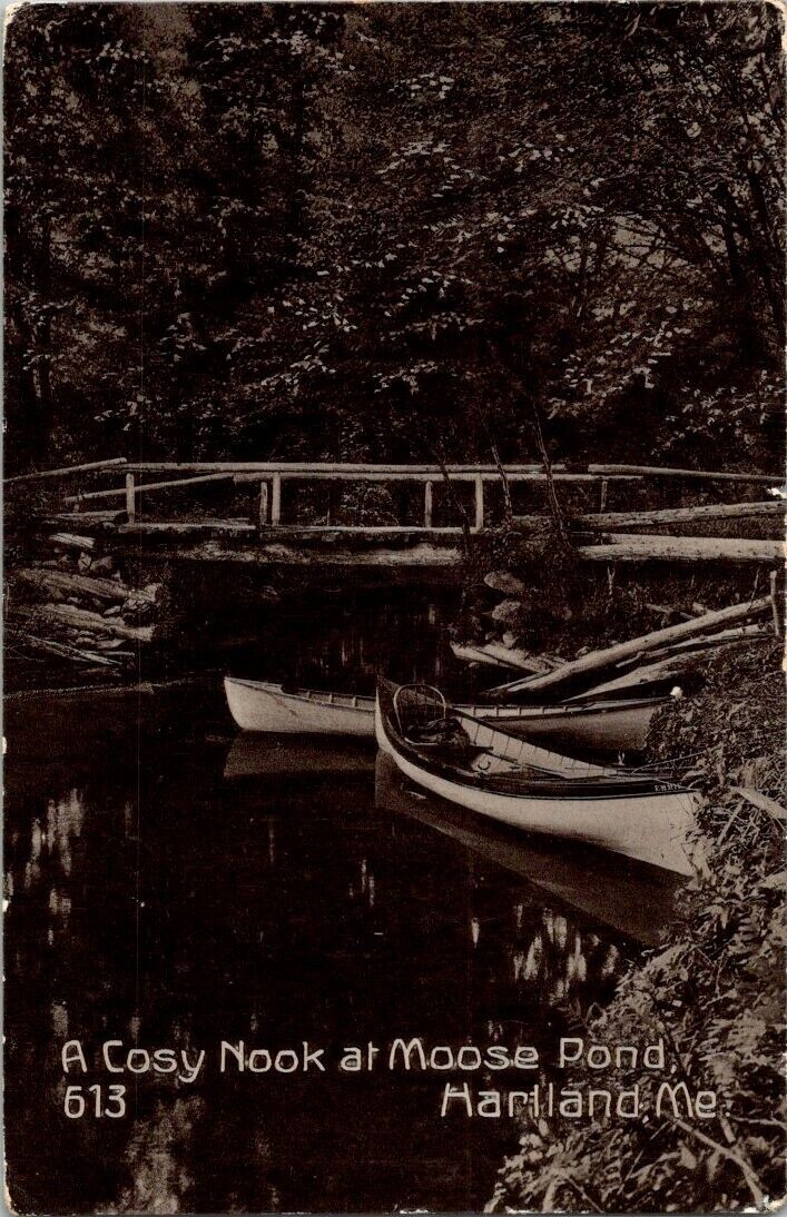 Vintage postcard - A Cosy Nook at Moose Pond, Hartland Maine posted 1909