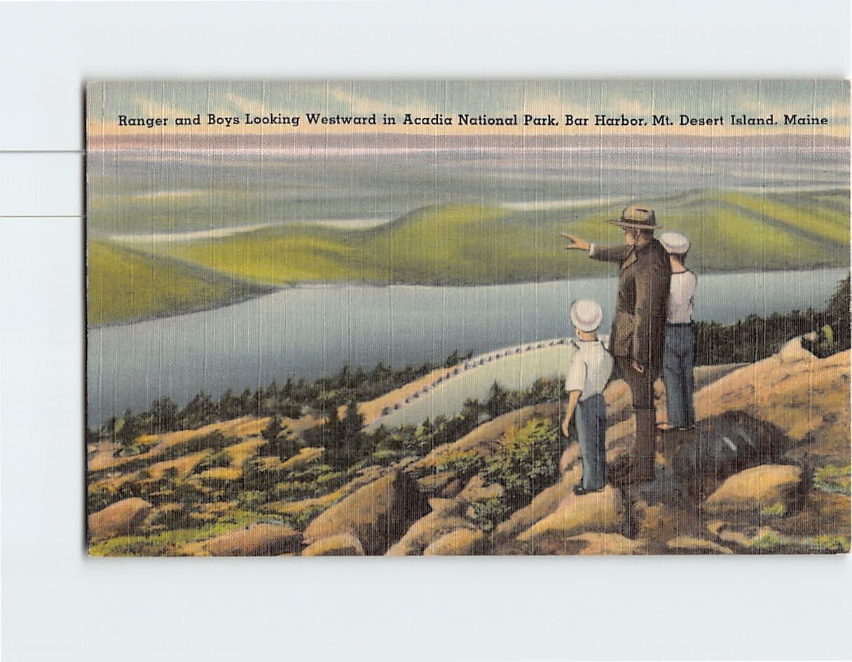 Postcard Ranger & Boy Looking Westward Acadia National Park Bar Harbor Maine