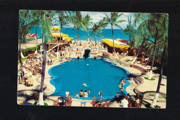 c.1960s Raleigh Hotel Pool Roadside Beach Palms Miami Beach Florida FL Postcard