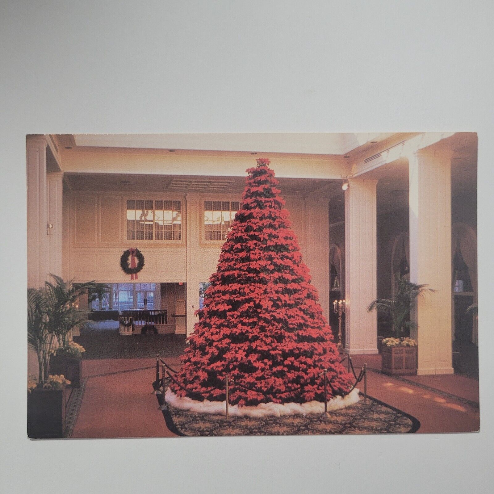 Opryland Hotel Nashville Tennessee Poinsettia Tree Continental Chrome Postcard