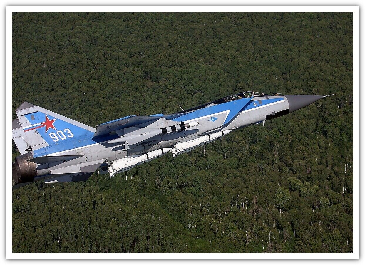 aircraft Mikoyan MiG-31 forest military aircraft vehicle military 2055