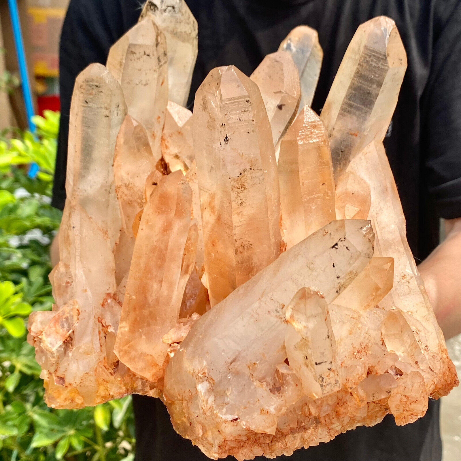 9.46LB  Natural clear quartz cluster mineral crystal specimen healing.
