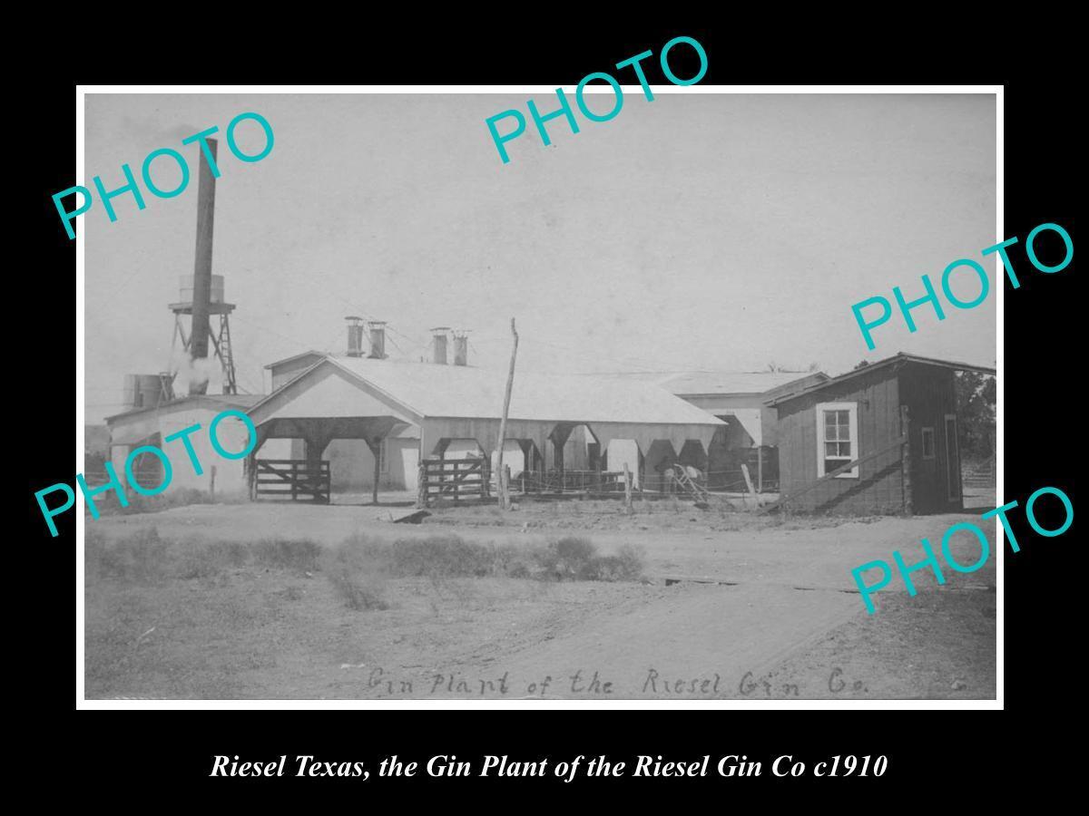 OLD LARGE HISTORIC PHOTO OF RIESEL TEXAS THE RIESEL GIN Co FACTORY c1910