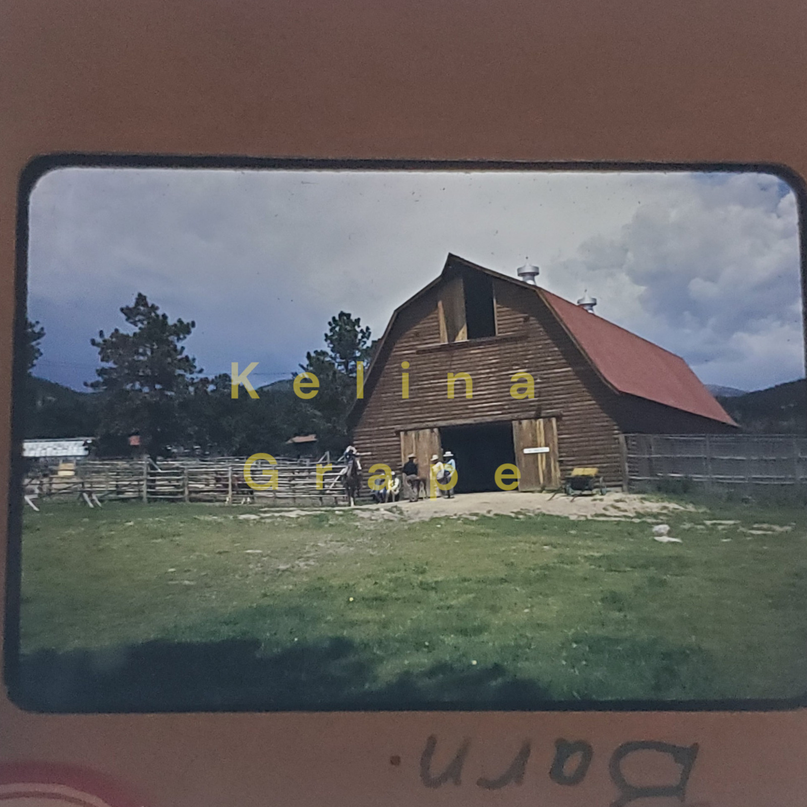 1950s Lazy VV Ranch 35mm Film Slide Red Border Nederland Colorado Barn Horse