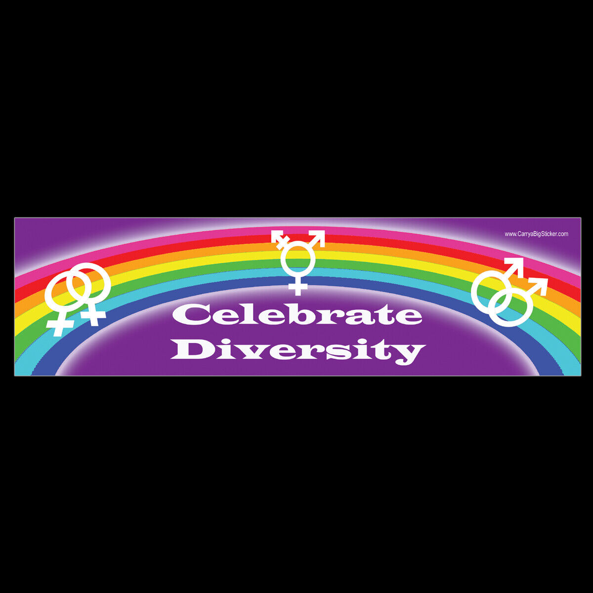 Celebrate Diversity BUMPER STICKER or MAGNET magnetic lesbian gay trans rainbow