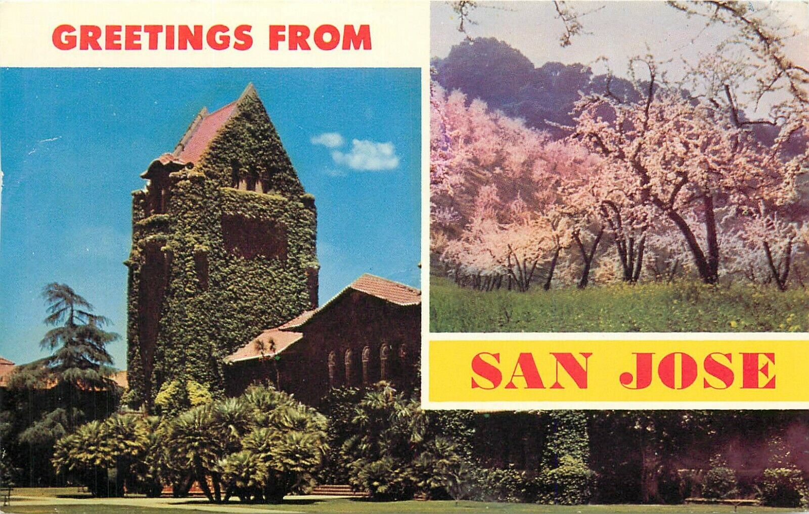 Greetings from San Jose California CA 1969 State College Postcard