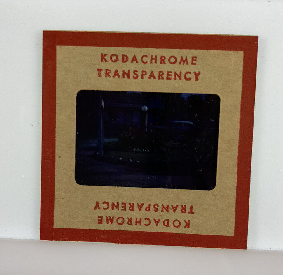 Vintage Kodachrome Transparency Original 35 mm Photo Greenery Floral Picture