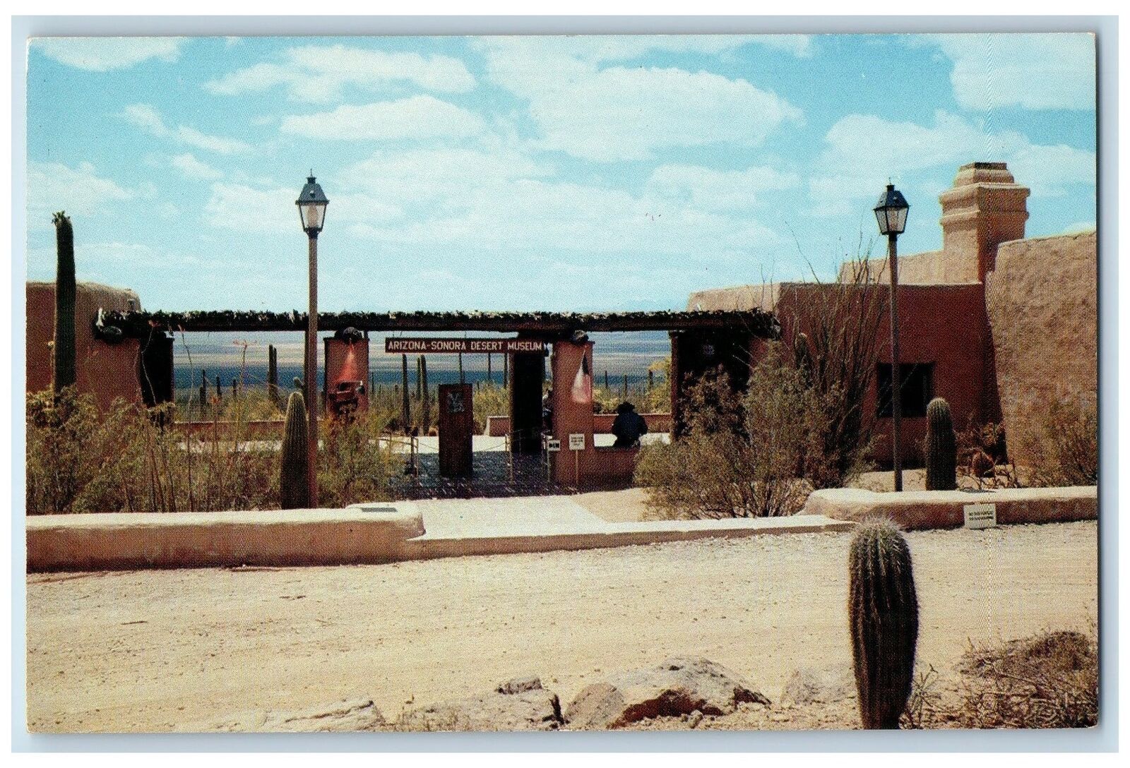 c1960s Arizona-Sonora Desert Museum Tucson Mountain Arizona AZ Unposted Postcard