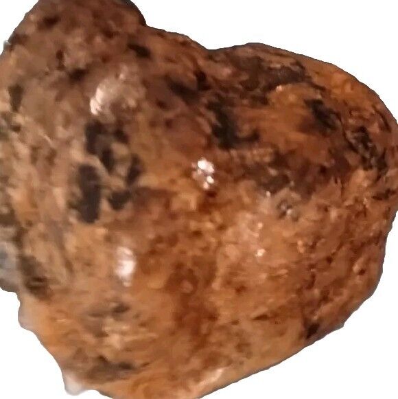 NWA 1877 Meteorite OLIVINE DIOGENITE RARE Northwest Africa HED Achondrite 26 Gms