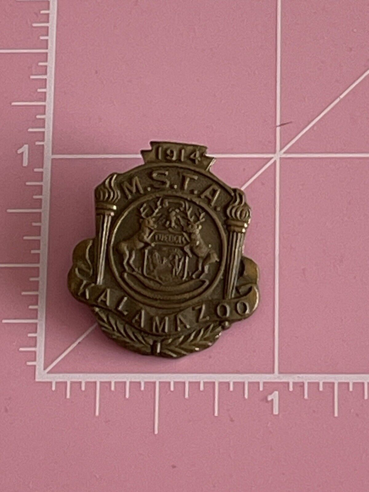 Rare M.S.T.A. Pin 1914 Kalamazoo 