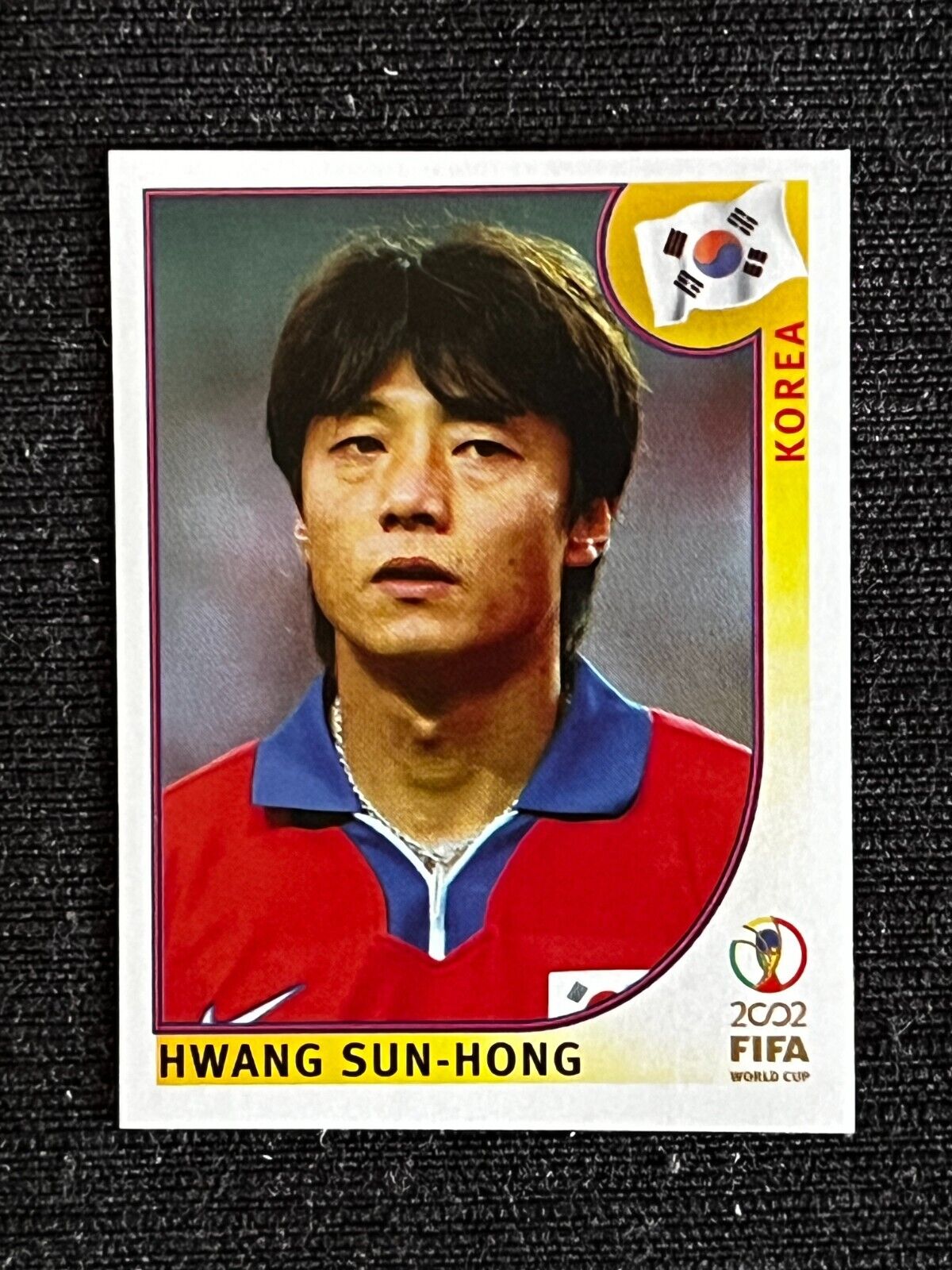 PANINI WORLD CUP JAPAN KOREA 2002 HWANG SUN HONG KOREA STICKER # 257 MINT