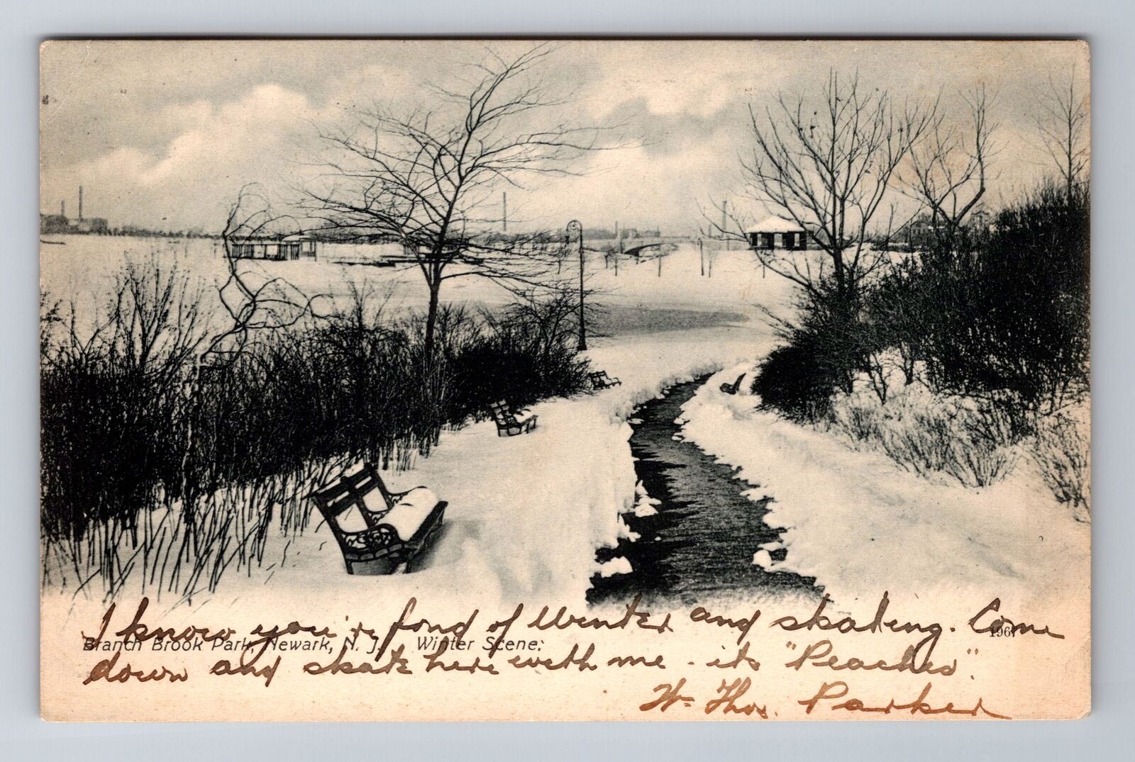 Newark NJ-New Jersey, Branch Brook Park, Winter, Vintage c1910 Postcard