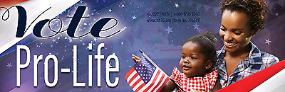 Vote Pro LIfe Pro-Life Bumper Sticker