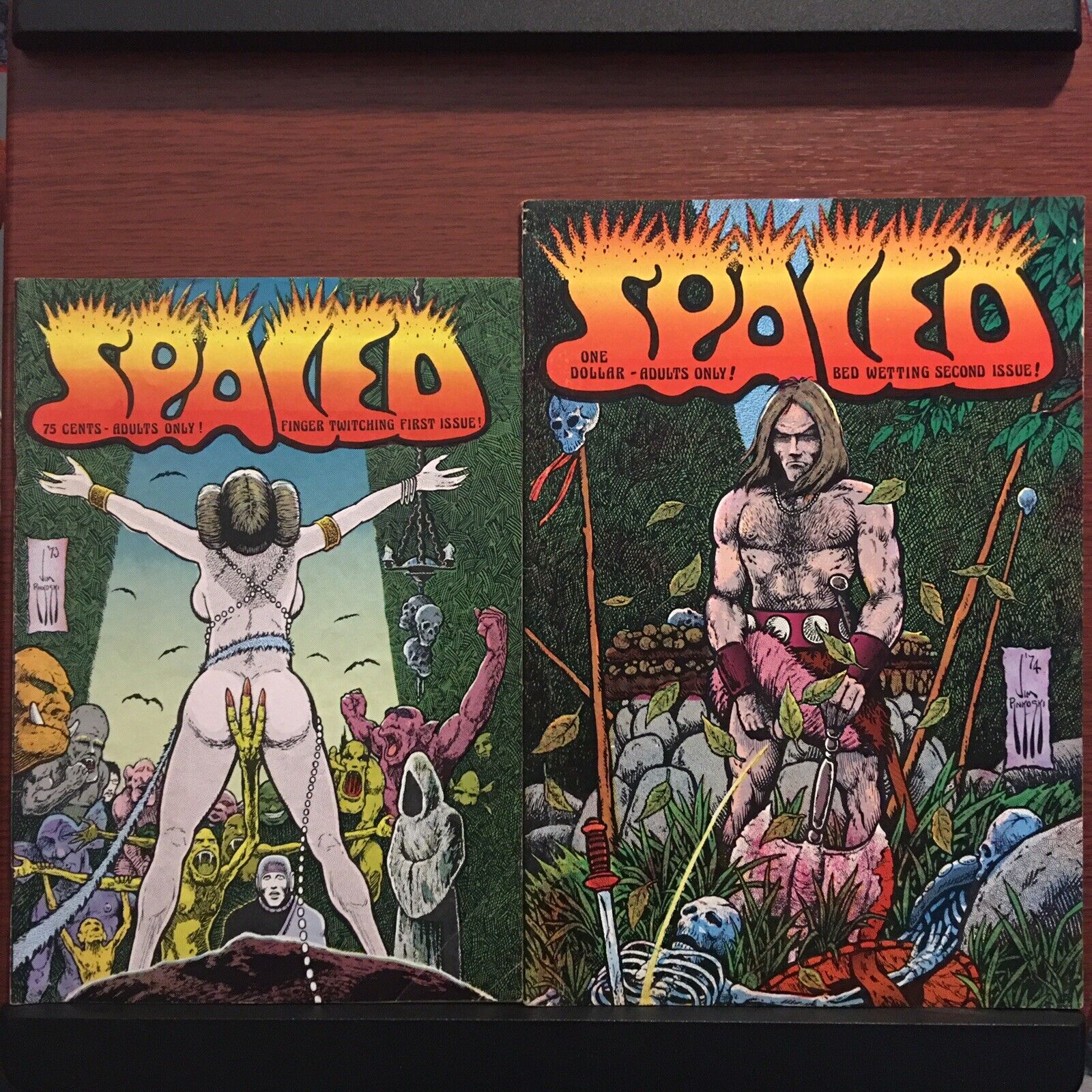 Spaced #1 & #2 Jim Pinkoski 1975 Rare Underground Comics & Comix Princess Leia