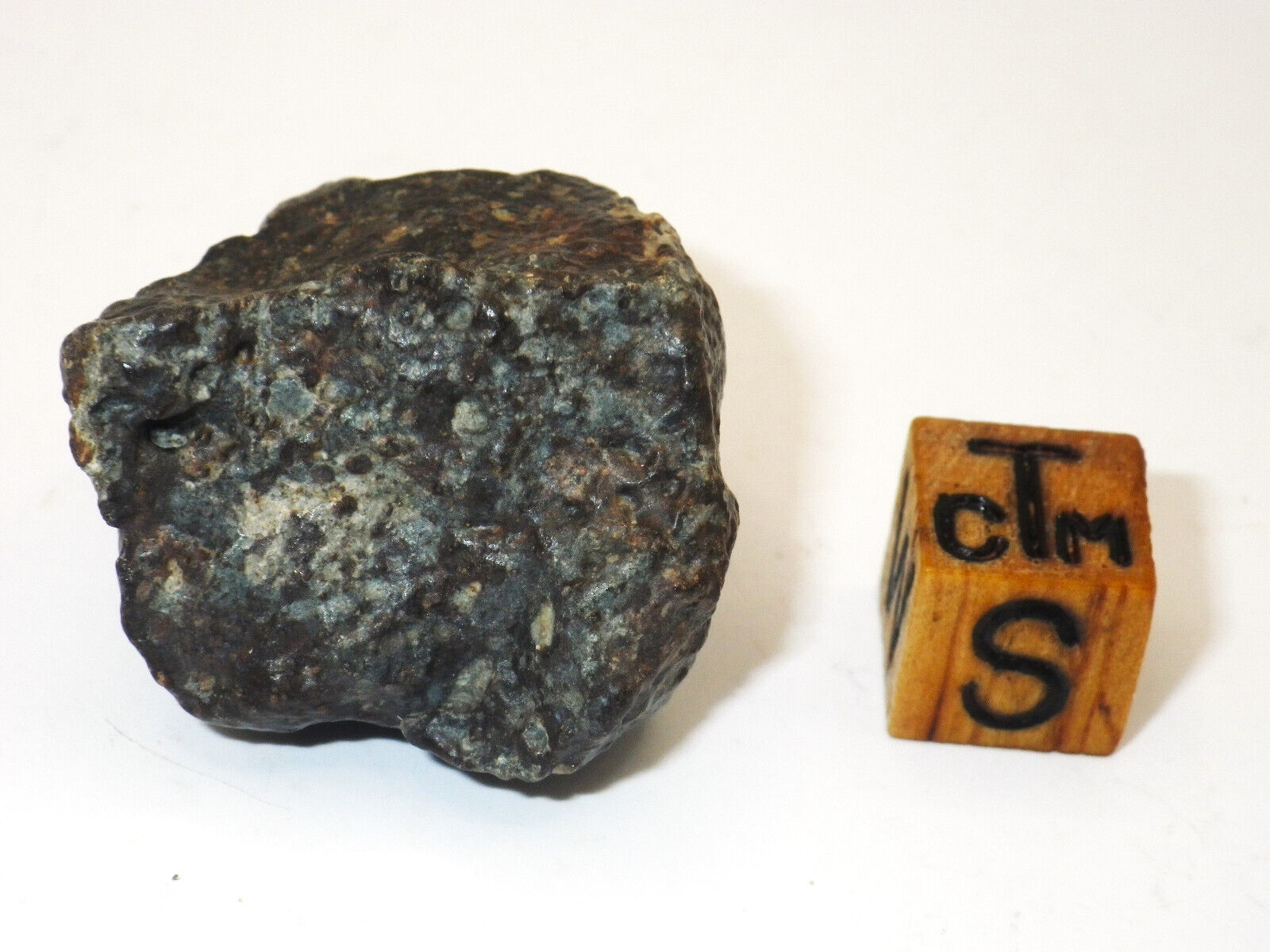 NWA 869 meteorite. L3-6 22.91 grams. Individual.