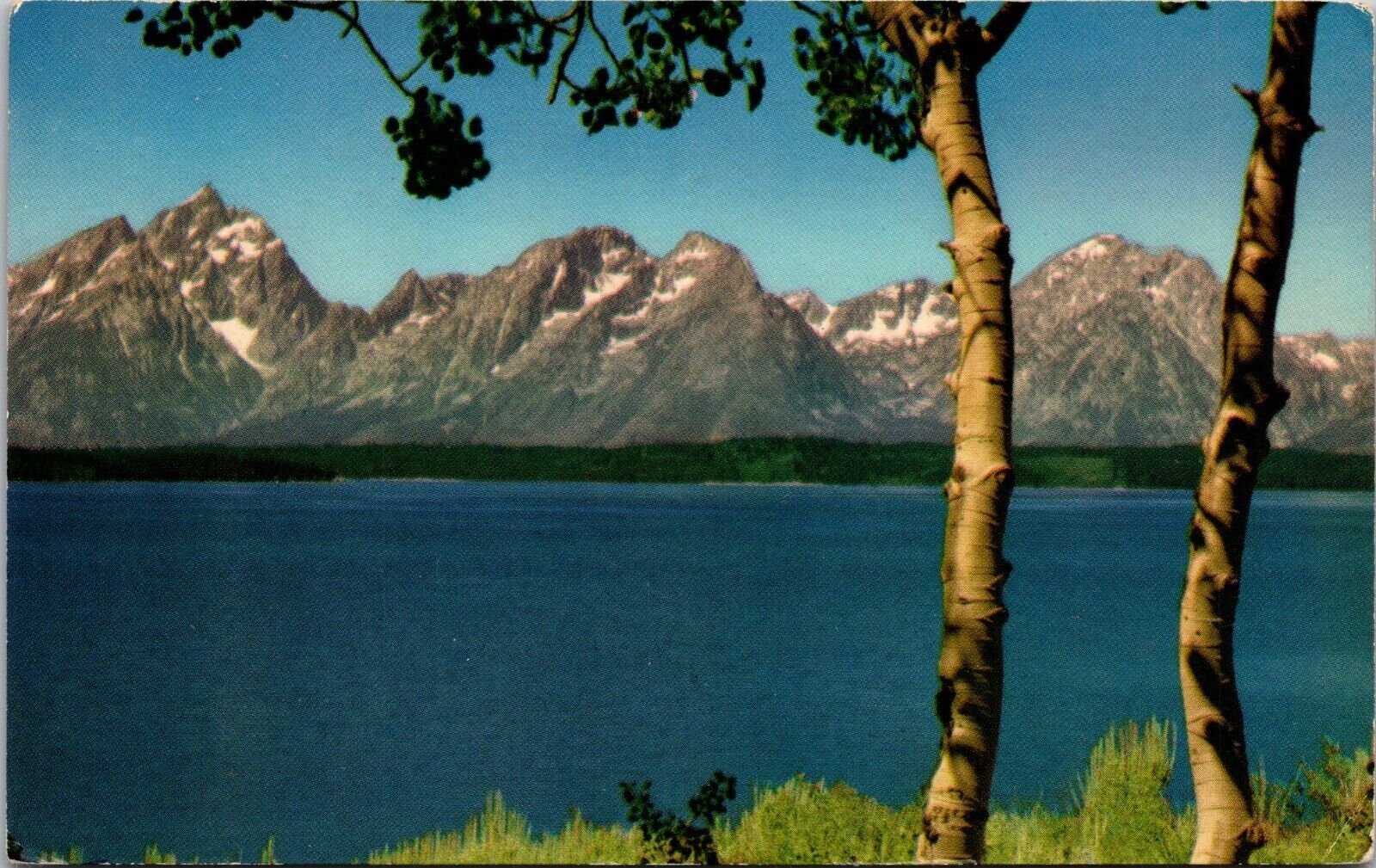 Postcard Peaks Of The Teton Range Jackson Lake Colorado [bz]