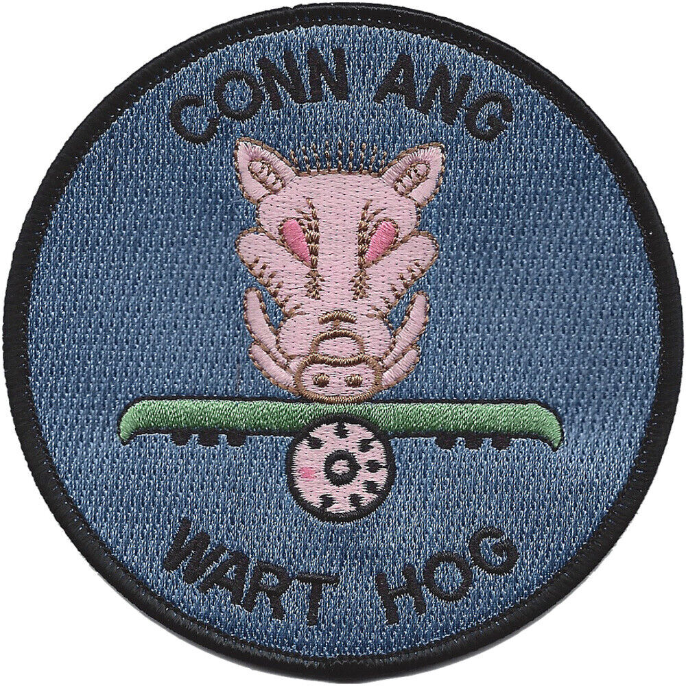 U.S. Air Force 118th Fighter Sq. Conn Ang Patch