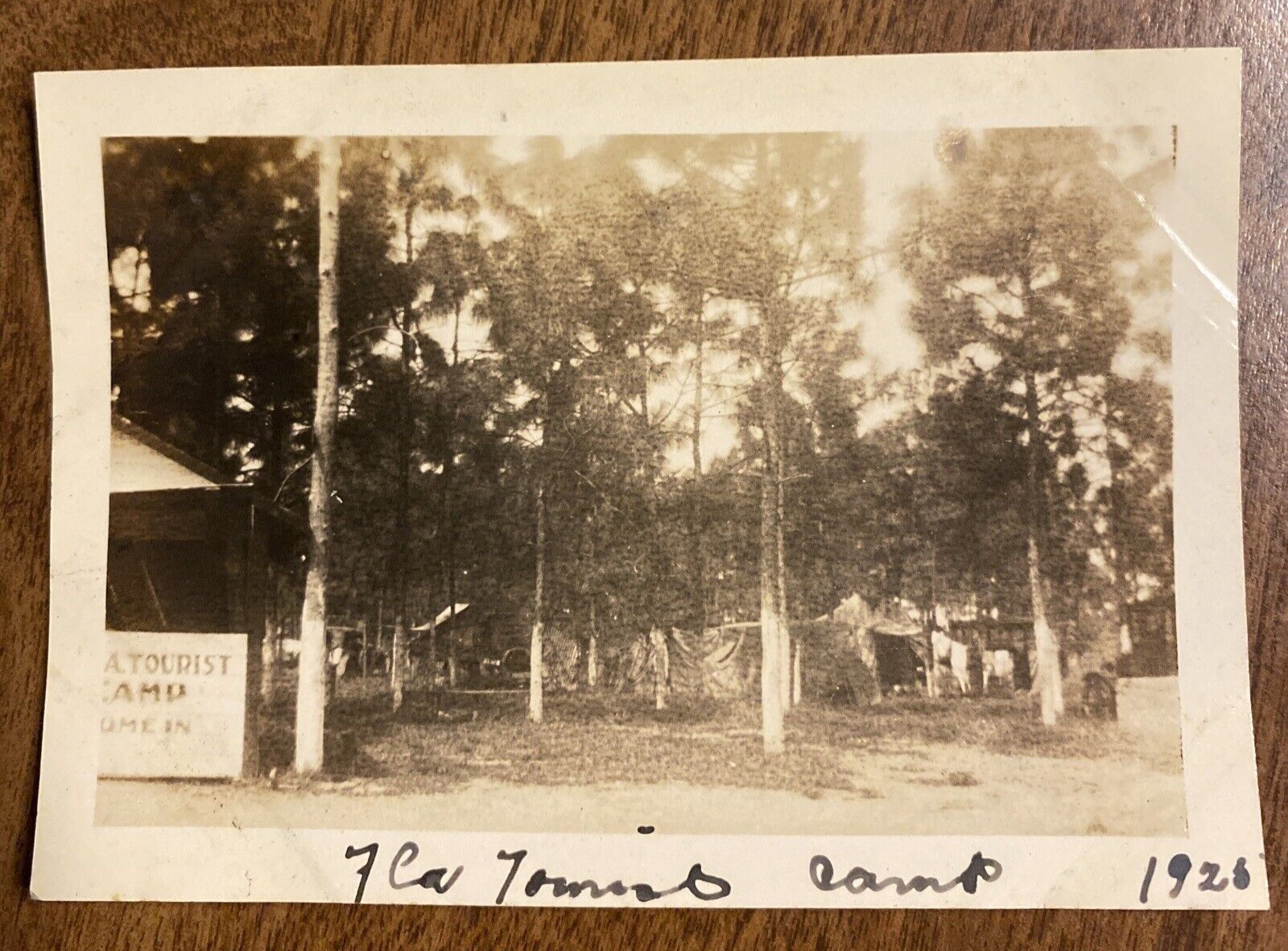 Vintage 1920s Jacksonville Florida Tourist Camp Sign Tents Camping Photo P3g15