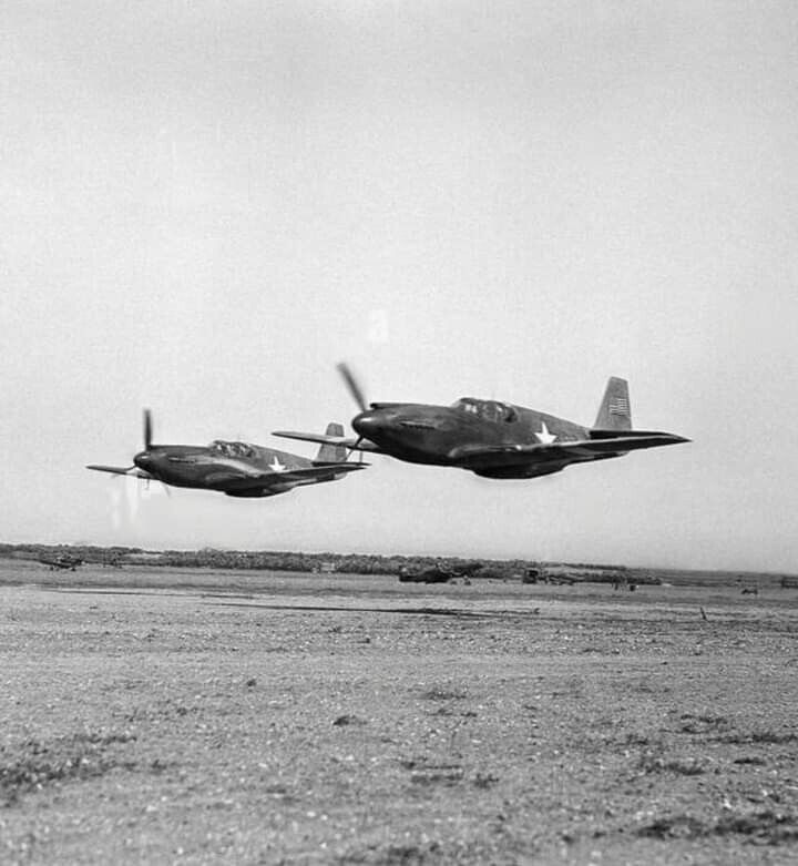USAAF Mustangs North Africa  WWII WW2 4x4