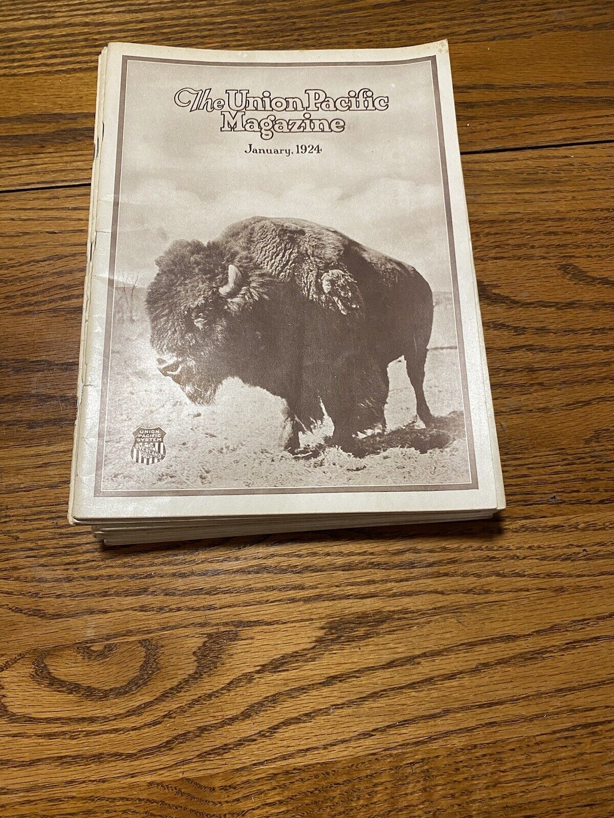 1924 Union Pacific Railroad Magazines Ephemera - Complete All 12 Issues