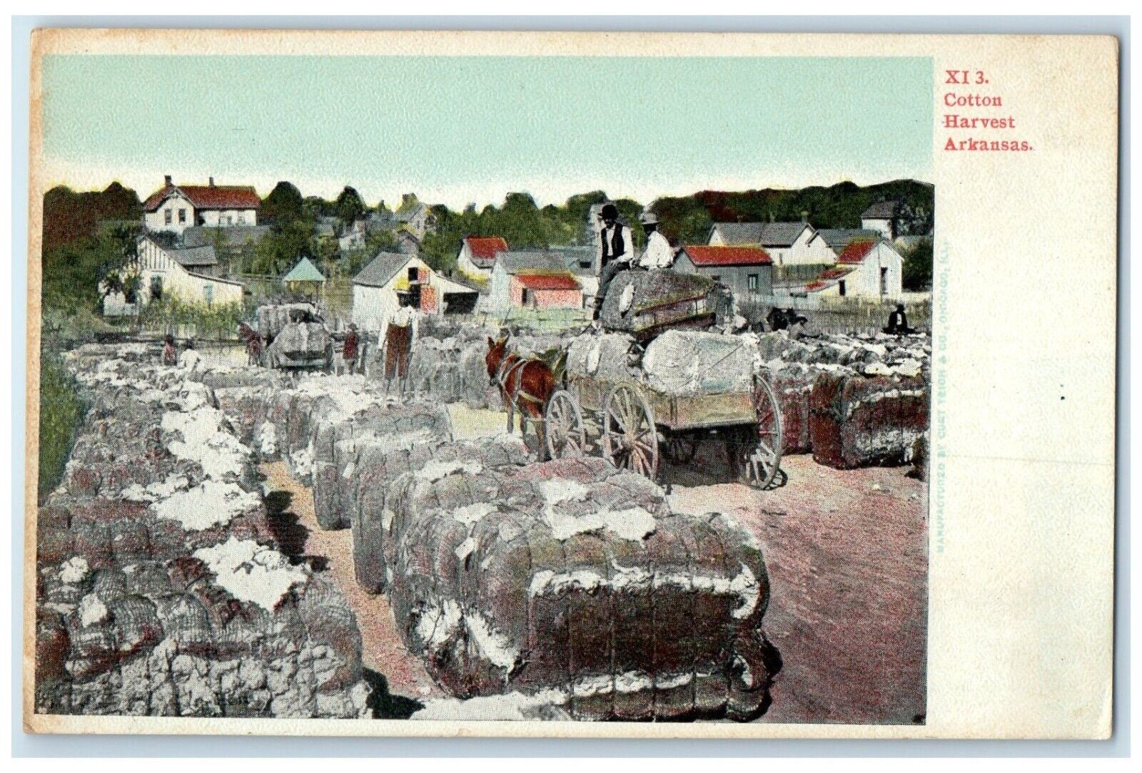 c1905 Cotton Harvest Horse And Wagon Arkansas AR Unposted Antique Postcard