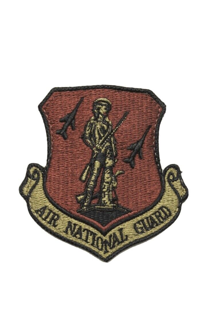 USAF Air National Guard OCP Spice Brown Patch w/Hook