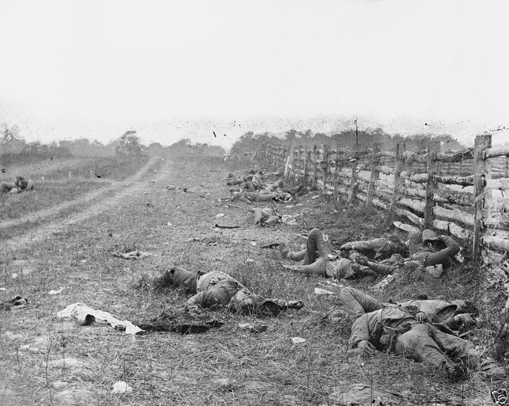 New Civil War 8x10 Photo - Dead Confederate soldiers on Hagerstown Road Antietam