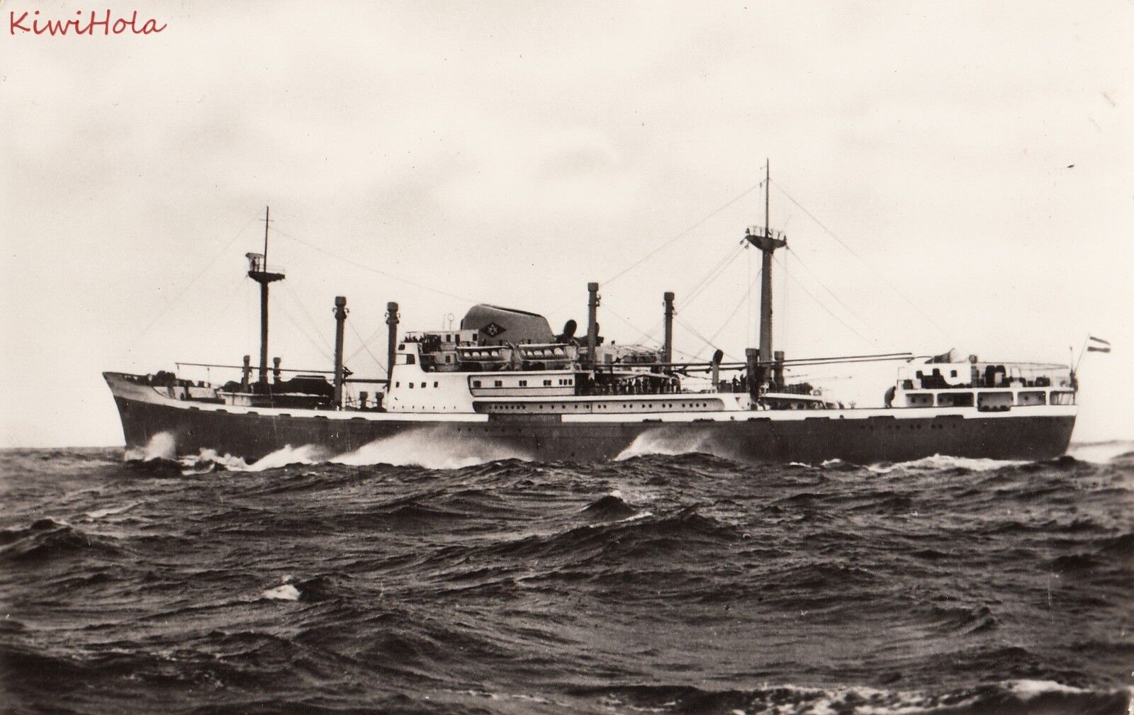 Postcard Ship Ms Prins Willem van Oranje Oranje Lijn NV Rotterdam