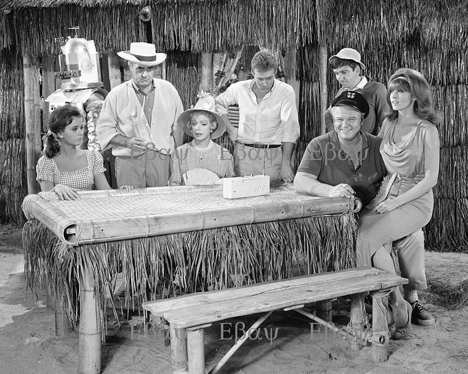 Gilligans Island Cast B&W - TV Series 8X10 Photo Reprint