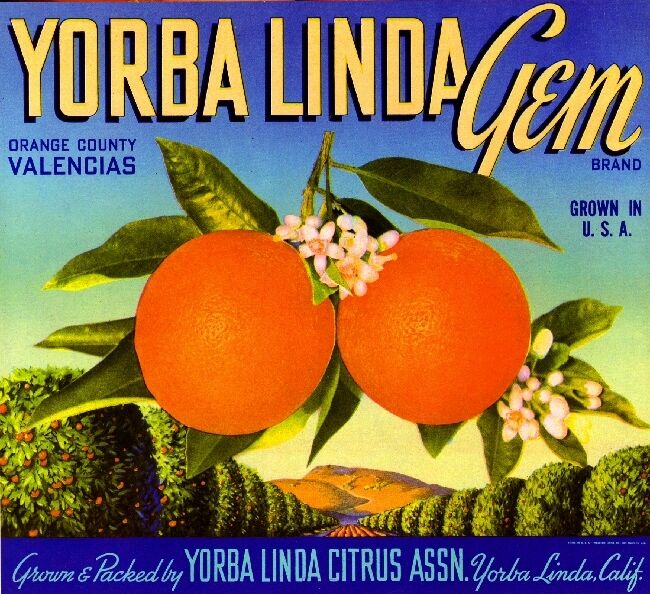 Yorba Linda Gem #2 Orange Citrus Fruit Crate Label Art Print