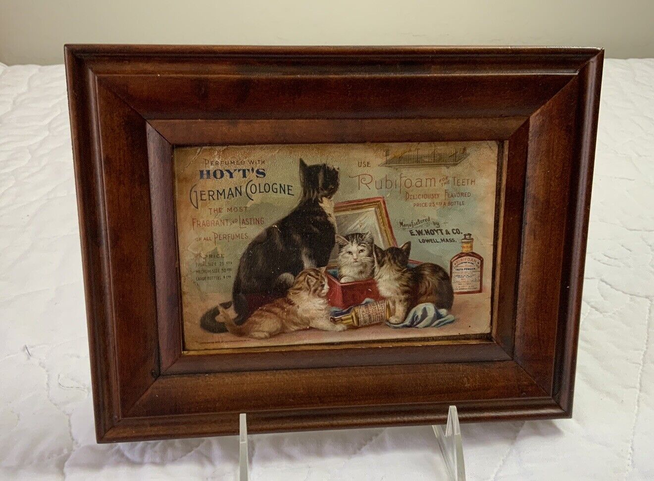 Vintage Antique Framed Victorian Trade Card, Late 1800’s, Kitty Cats, E W Hoyt