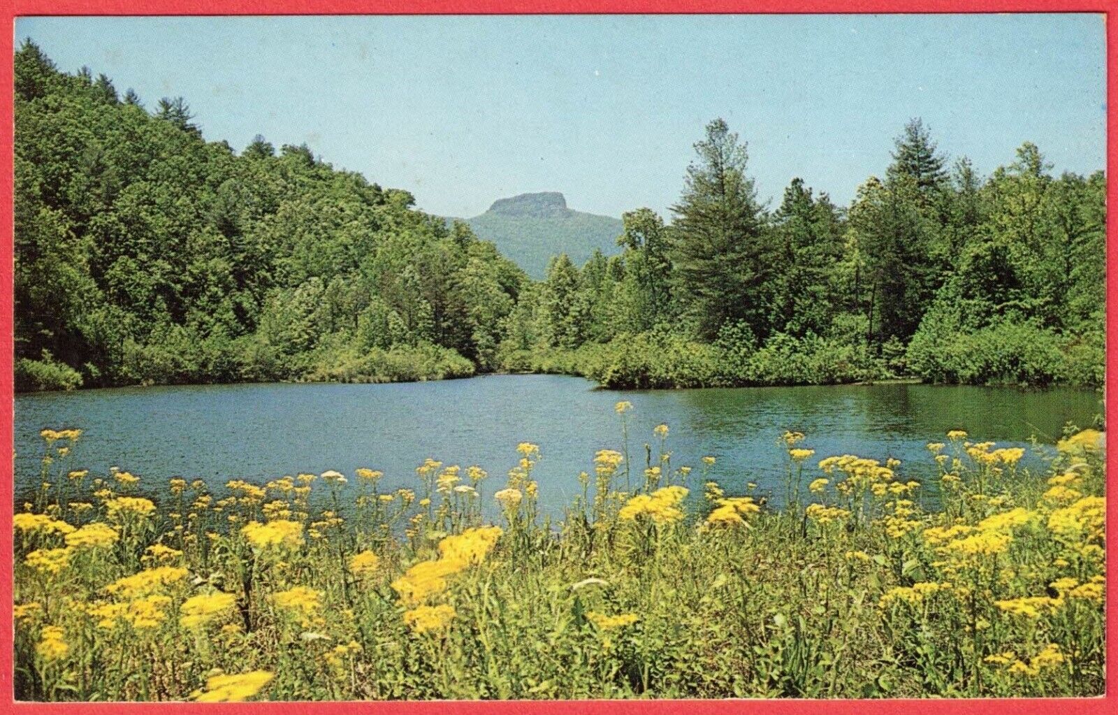 Table Rock River Lake Grove Flowers Western North Carolina NC 1950s Postcard