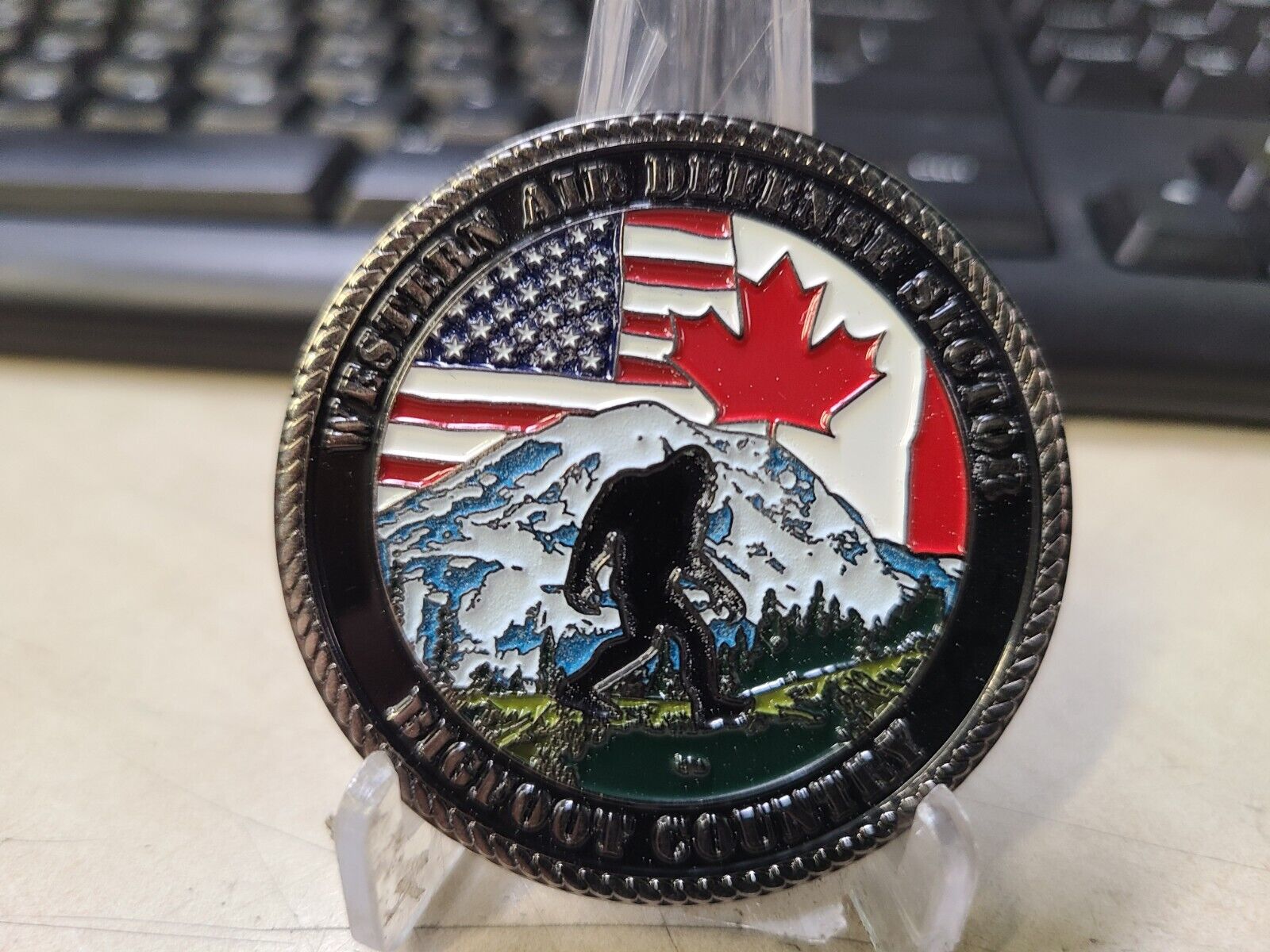 Western Air Defense Sector Bigfoot Country Challenge Coin Challenge Coin